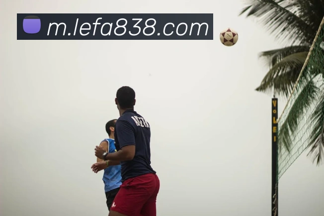 奖项证书